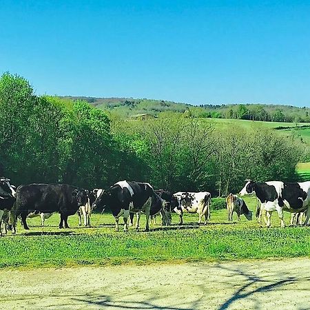 « Le Vieux Hangar » Gite A La Ferme Le Buisson-de-Cadouin Bagian luar foto